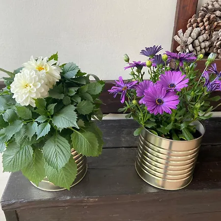 Apartamento Monti Del Sole Sweet Viterbo Narni