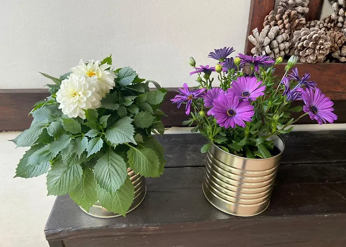 Apartament Monti Del Sole Narni